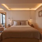 Asty Mykonos & 호텔 5*