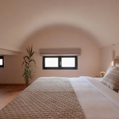 Asty Mykonos & 5*