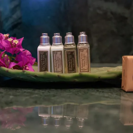 Asty Mykonos & فندق