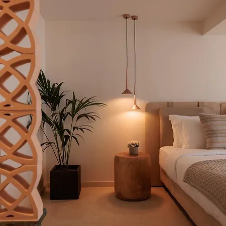 فندق Asty Mykonos &